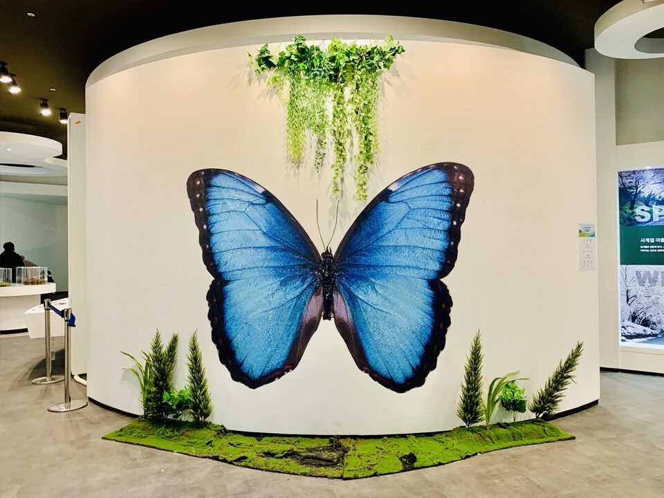 Image of an ecology exhibition