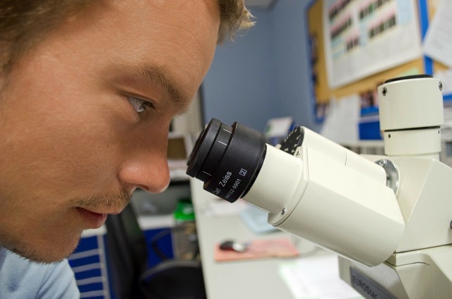 Image of a researcher looking into a microscope